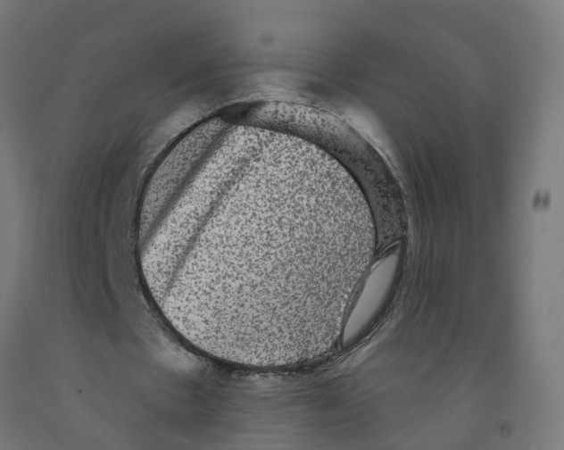 X0000091890481200710031805