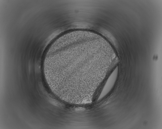 X0000091890483200710031805