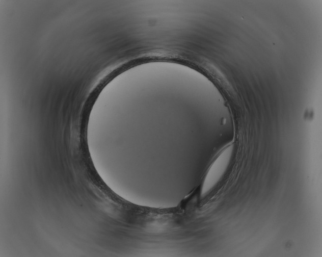 X0000091890484200710031805