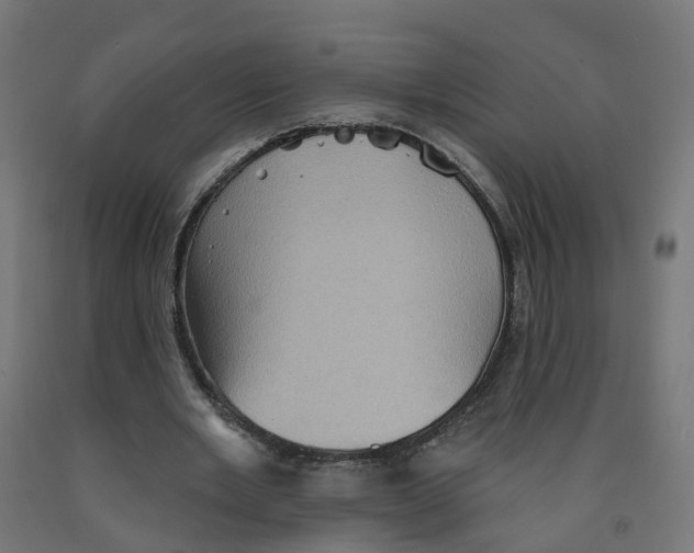 X0000091890485200710031805