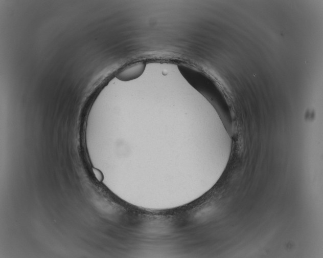 X0000091890486200710031805