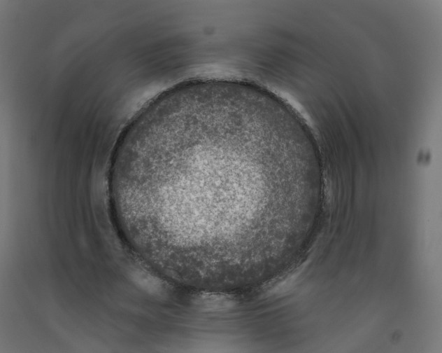 X0000091890487200710031805