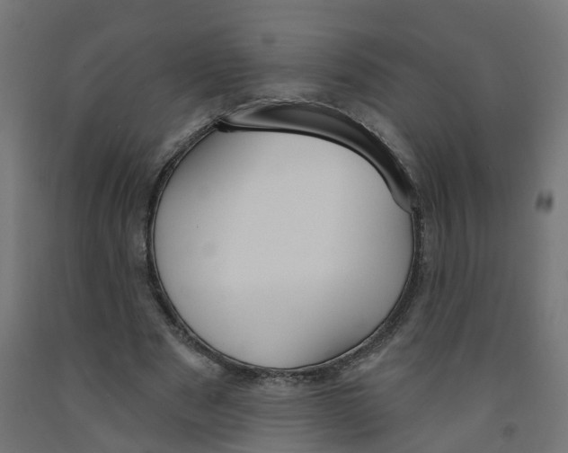 X0000091890489200710031805