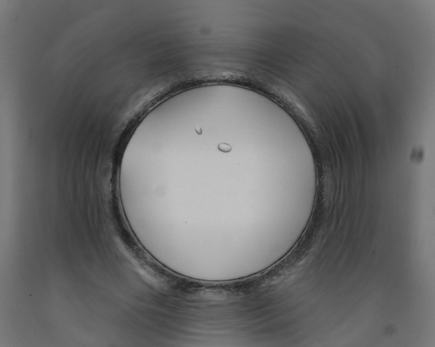 X0000091890490200710031805