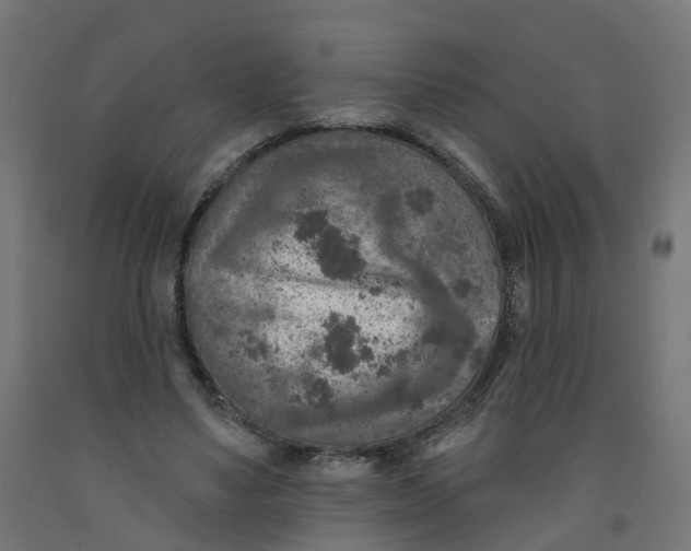 X0000091890491200710031805