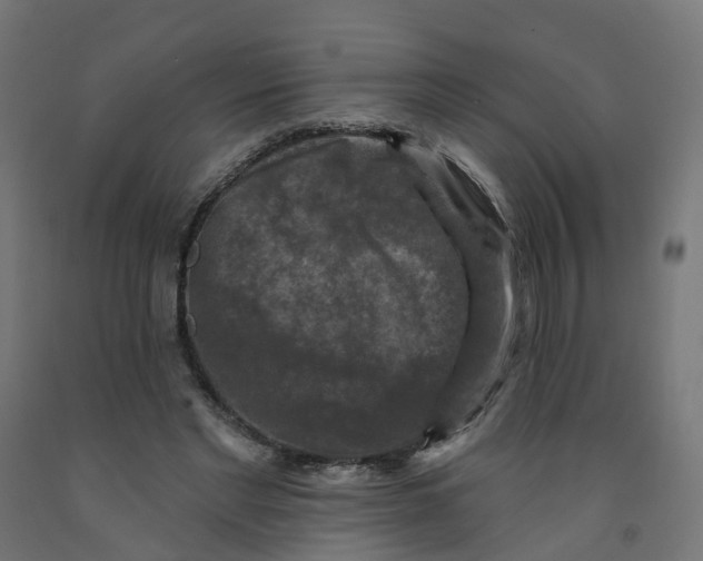 X0000091890493200710031805