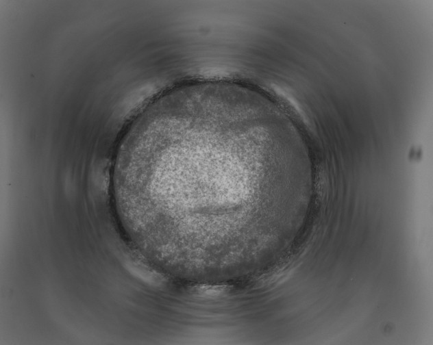X0000091890495200710031805