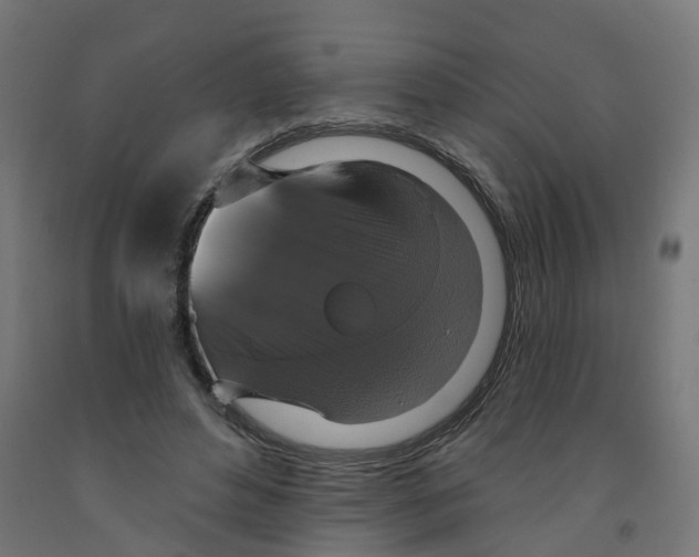X0000091890496200710031805