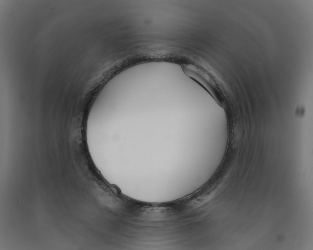 X0000091890497200710031805