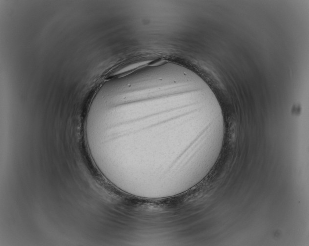X0000091890498200710031805