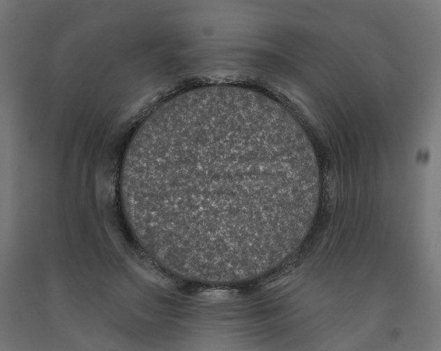 X0000091890499200710031805