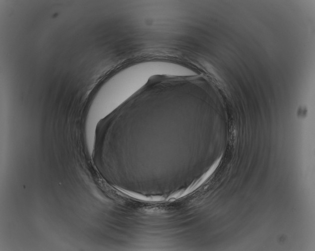 X0000091890500200710031805