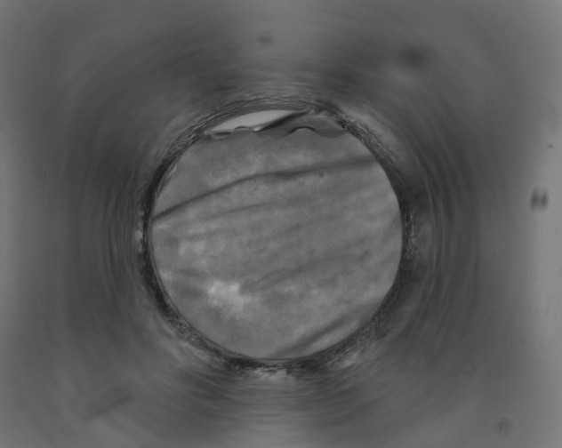 X0000091890502200710031805