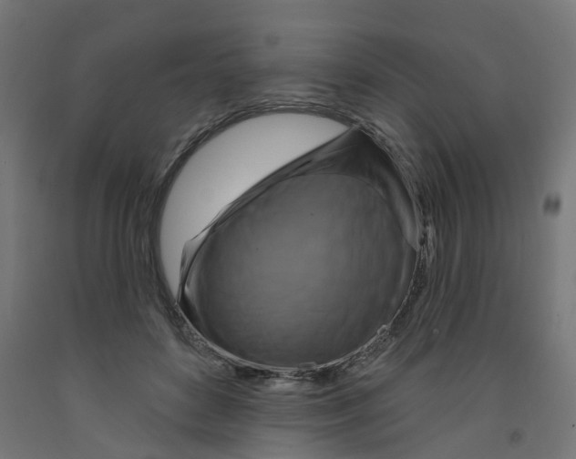 X0000091890504200710031805