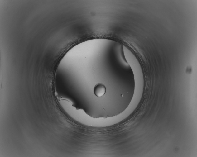 X0000091890505200710031805