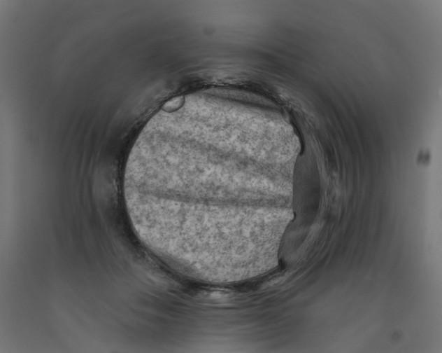 X0000091890506200710031805