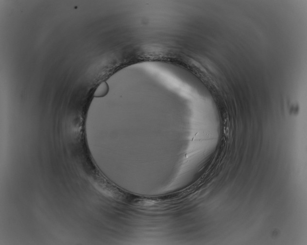 X0000091890507200710031805