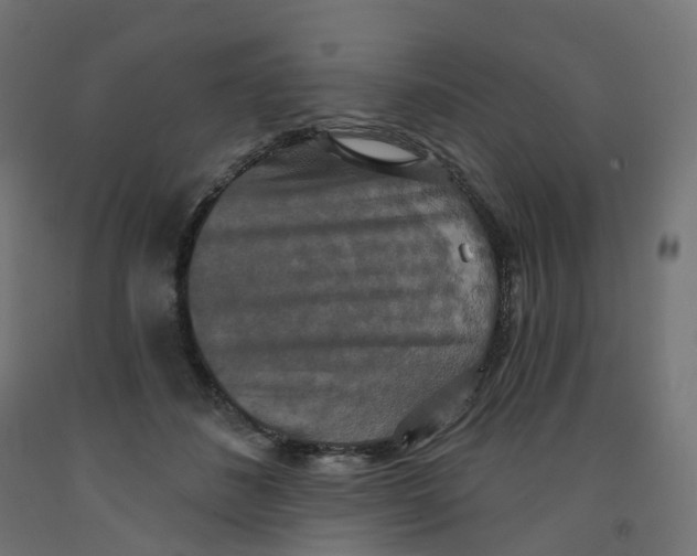X0000091890508200710031805