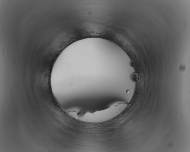 X0000091890509200710031805