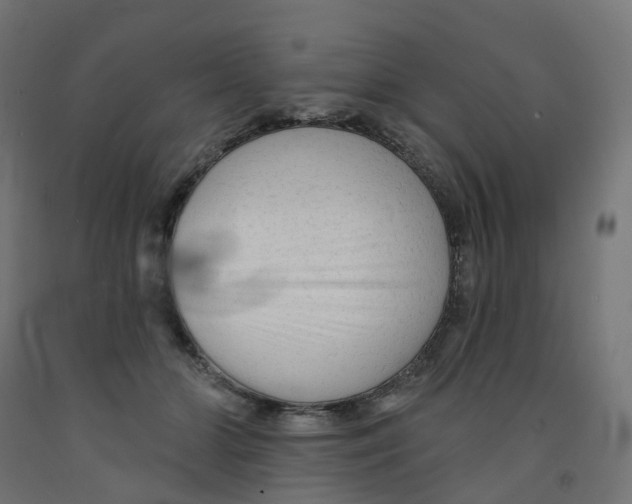 X0000091890510200710031805