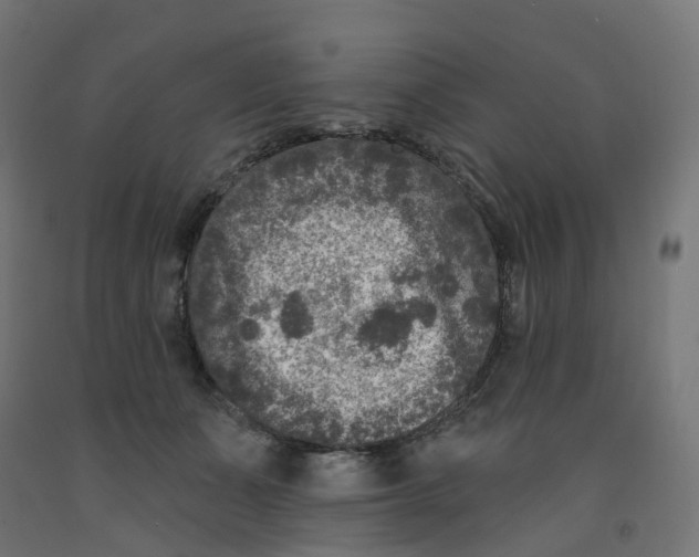X0000091890511200710031805
