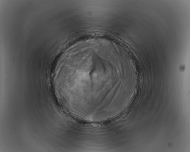 X0000091890512200710031805