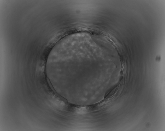 X0000091890513200710031805