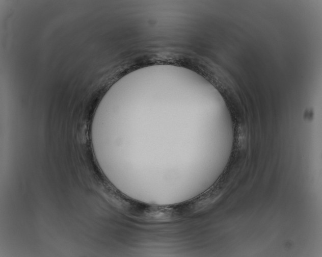 X0000091890514200710031805