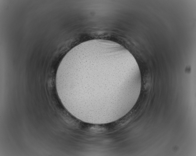 X0000091890515200710031805