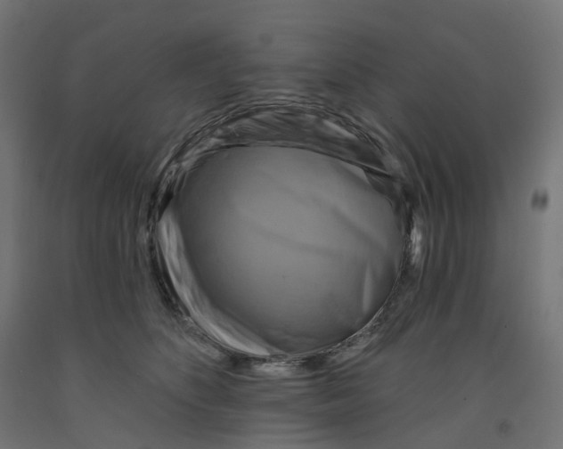 X0000091890516200710031805