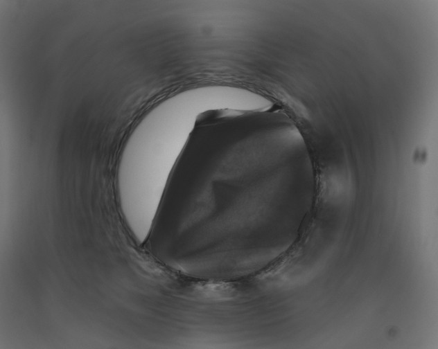 X0000091890517200710031805