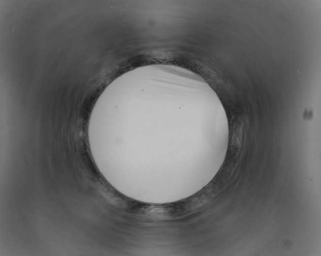 X0000091890518200710031805