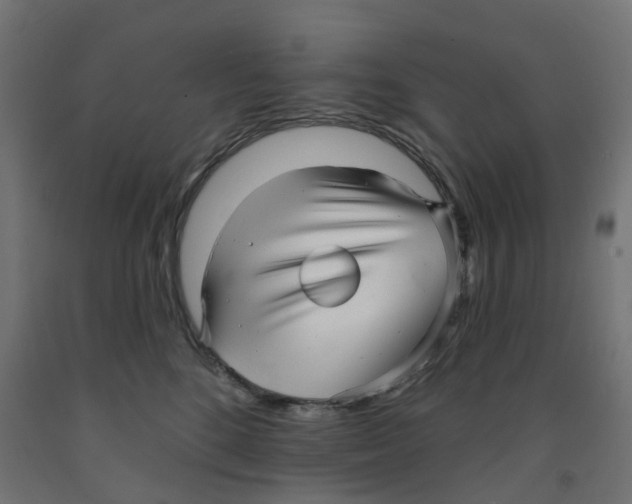 X0000091890520200710031805