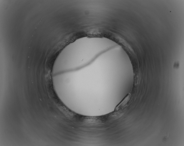 X0000091890521200710031805