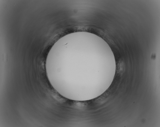 X0000091890522200710031805