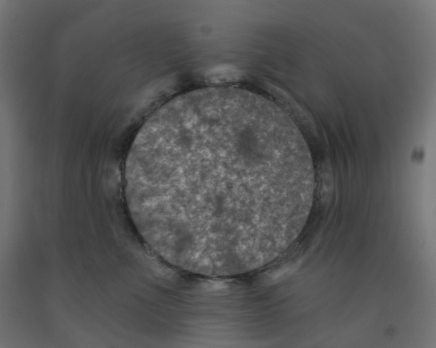 X0000091890523200710031805