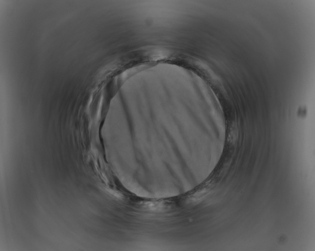 X0000091890524200710031805
