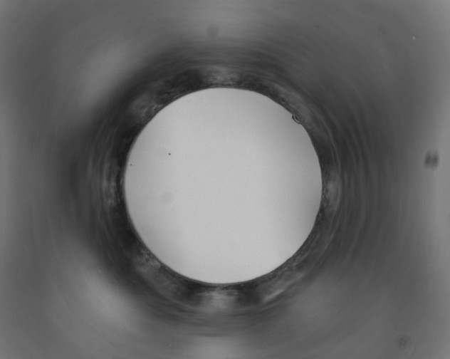 X0000091890525200710031805