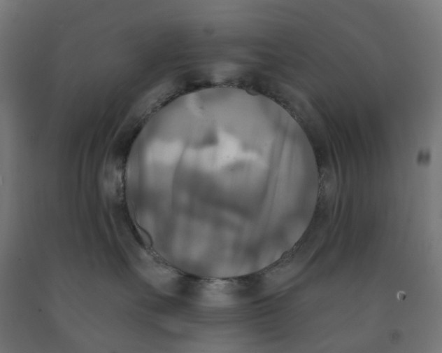 X0000091890527200710031805