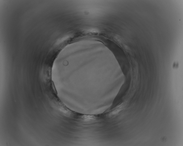 X0000091890528200710031805