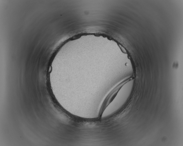 X0000091890530200710031804