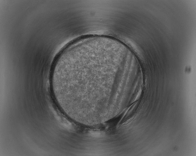 X0000091890532200710031804