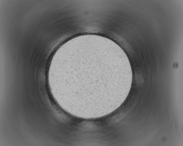 X0000091890534200710031804