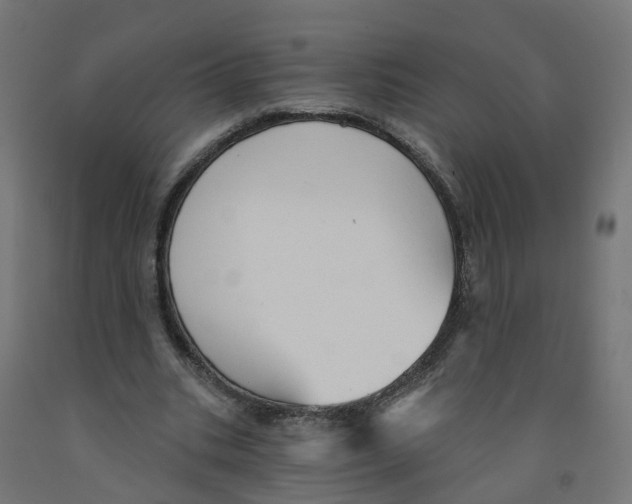 X0000091890535200710031804