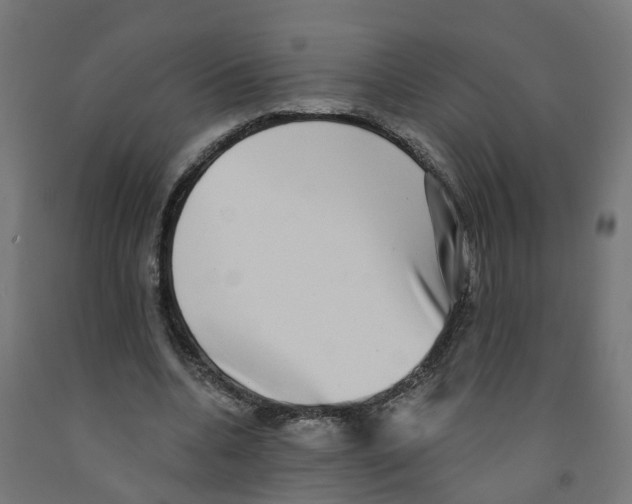 X0000091890536200710031804