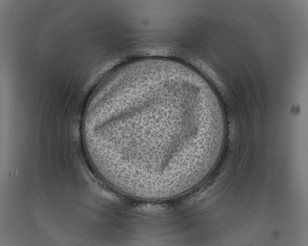 X0000091890537200710031804