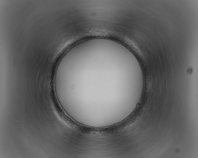 X0000091890538200710031804