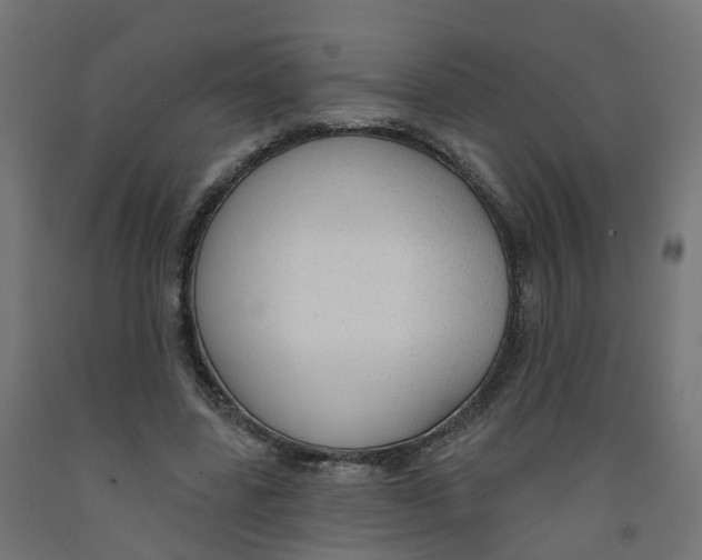 X0000091890539200710031804
