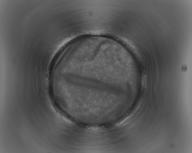 X0000091890540200710031804