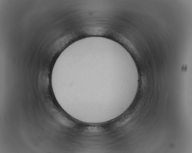 X0000091890541200710031804